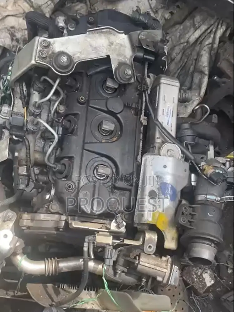 Navara Yd25 New Type
