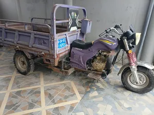 Tricycle 2024 Purple