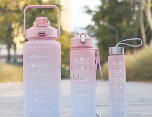 3 in 1 Motivational Bottles