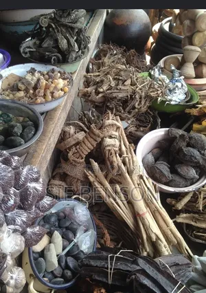 African Local Herbs Treatment For Stroke And Infertility