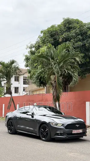 Ford Mustang EcoBoost Fastback 2019 Gray