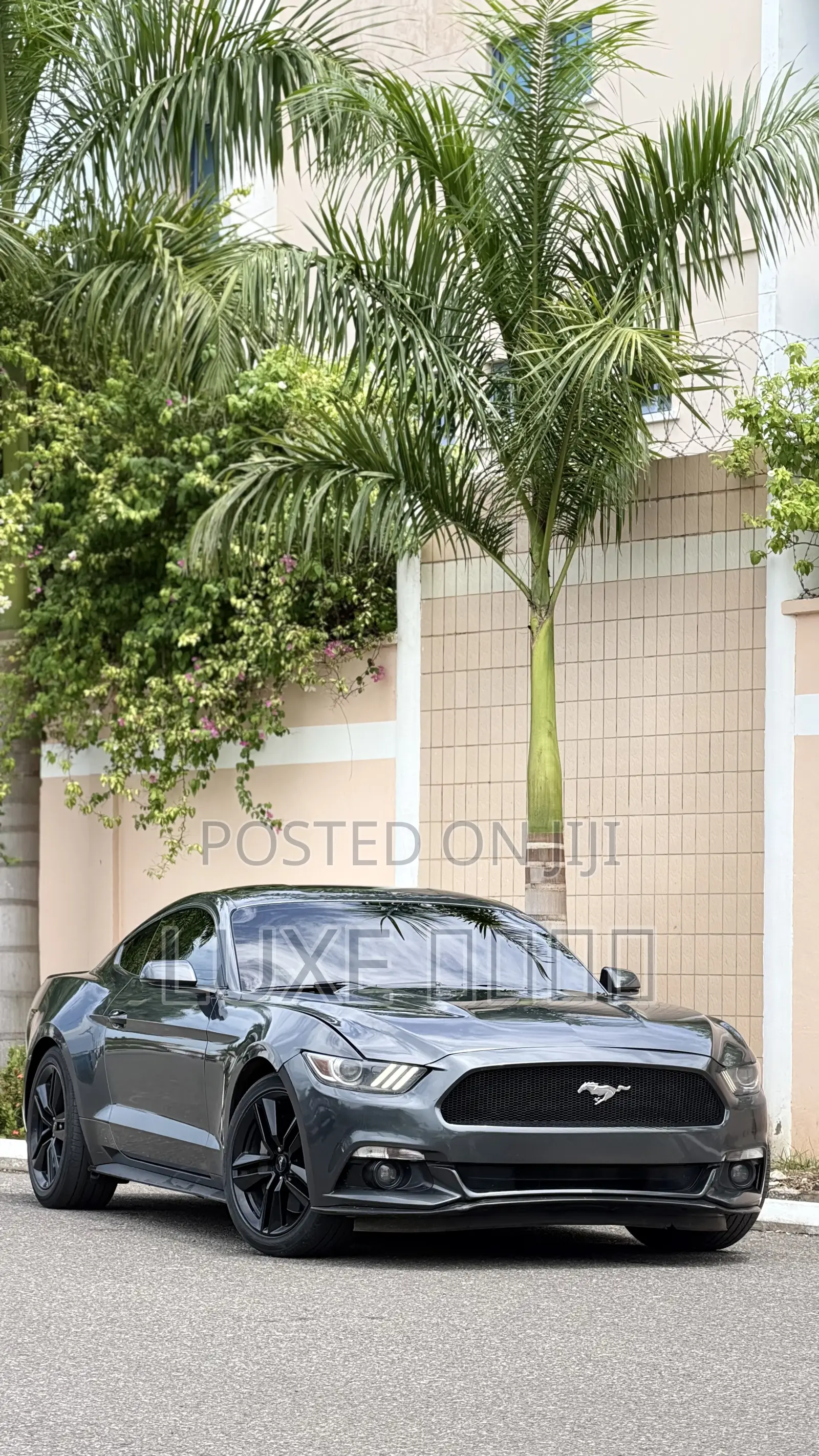 Ford Mustang EcoBoost Fastback 2019 Gray