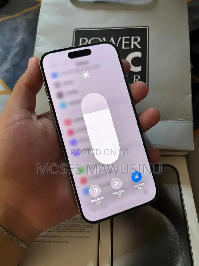 Apple iPhone 15 Pro Max 256 GB Gray