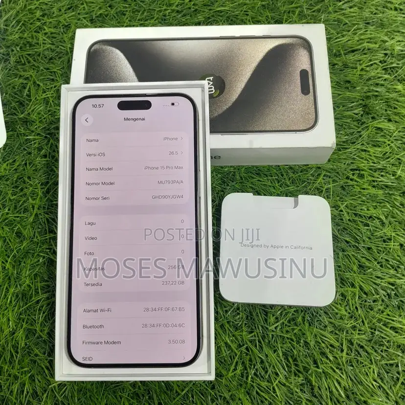 Apple iPhone 15 Pro Max 256 GB Gray