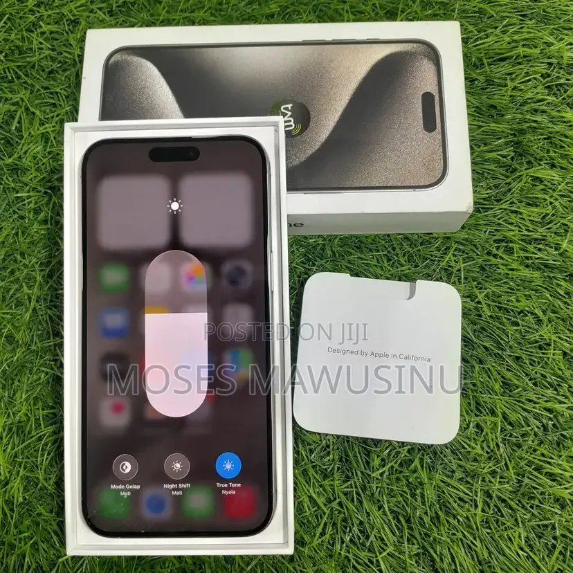 Apple iPhone 15 Pro Max 256 GB Gray