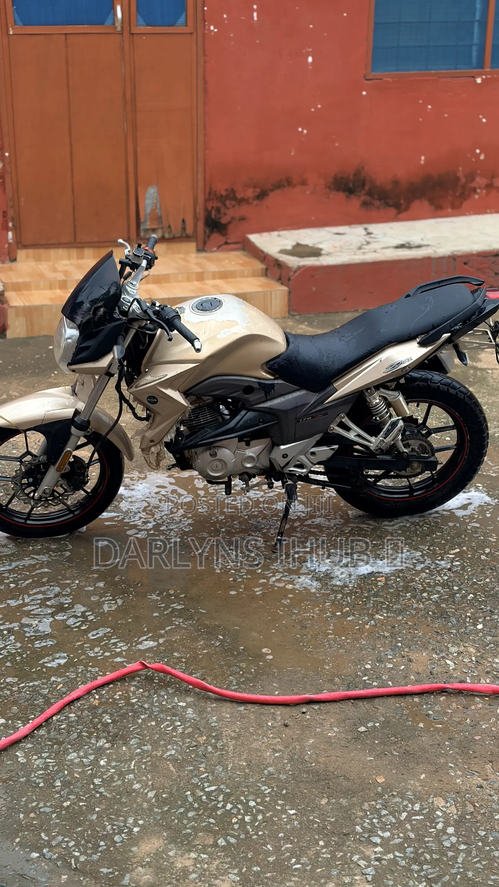 Apsonic 170 Zone One 2019 Gold