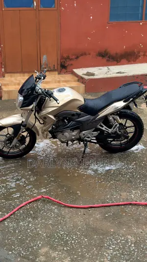 Apsonic 170 Zone One 2019 Gold