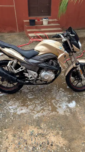 Apsonic 170 Zone One 2019 Gold