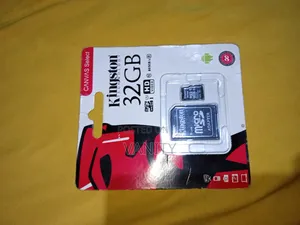 32 Gig Kingston Memory Card