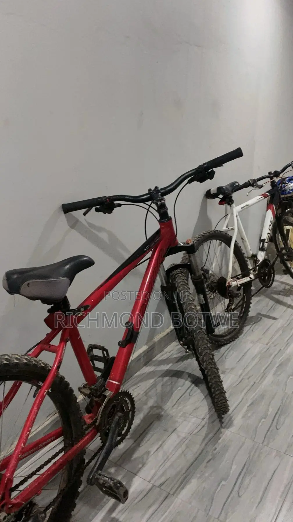 Correra and Apollo Bicycle