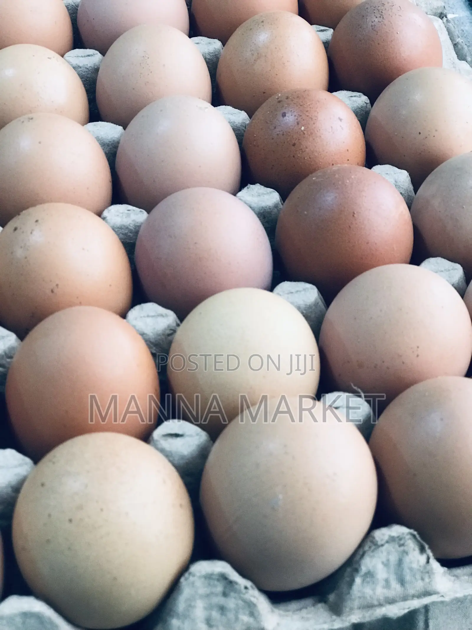 Eggs Rich in Protein