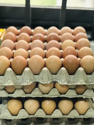 Eggs Rich in Protein