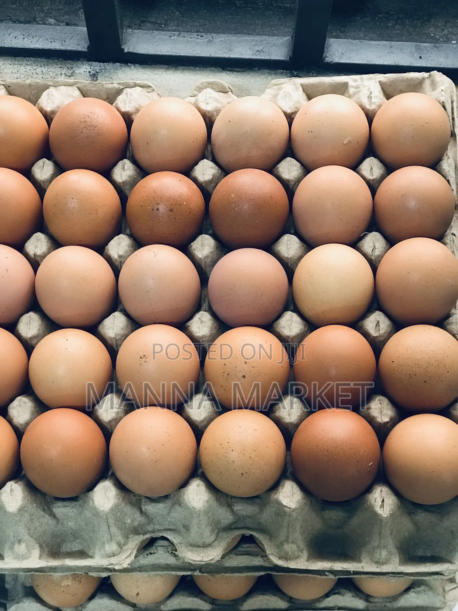 Eggs Rich in Protein