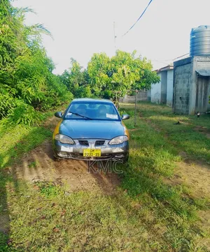 Hyundai Avante 2002 Gray