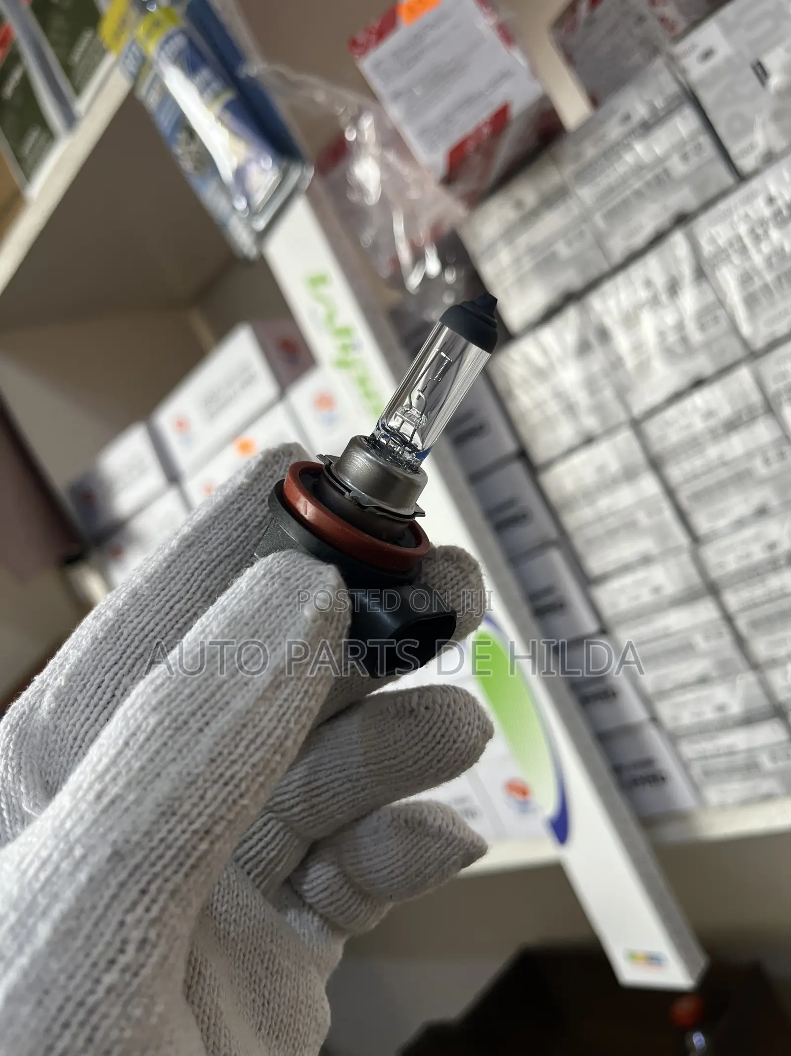 Original H4, H11, 9005 12v 60/55w Halogen Bulbs