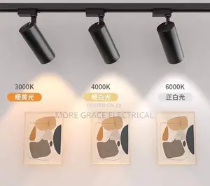 Track/Recessed Light