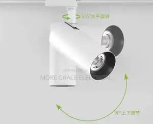 Track/Recessed Light