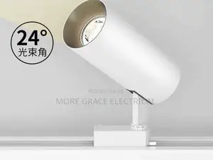 Track/Recessed Light