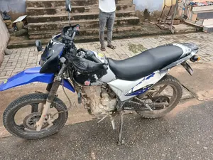 Royal Motorcycle 2024 White