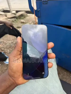 Apple iPhone 16 Pro Max 256 GB Silver