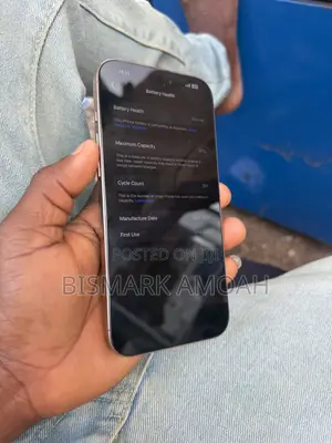 Apple iPhone 16 Pro Max 256 GB Silver