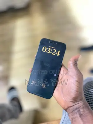 Apple iPhone 16 Pro Max 256 GB Black