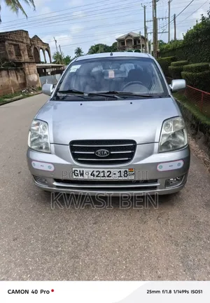 Kia Picanto 2007 Gray