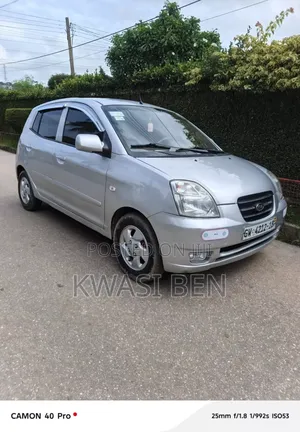 Kia Picanto 2007 Gray