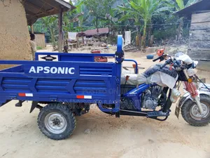 Apsonic AP150ZH-20 2025 Blue