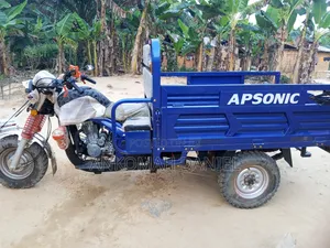 Apsonic AP150ZH-20 2025 Blue