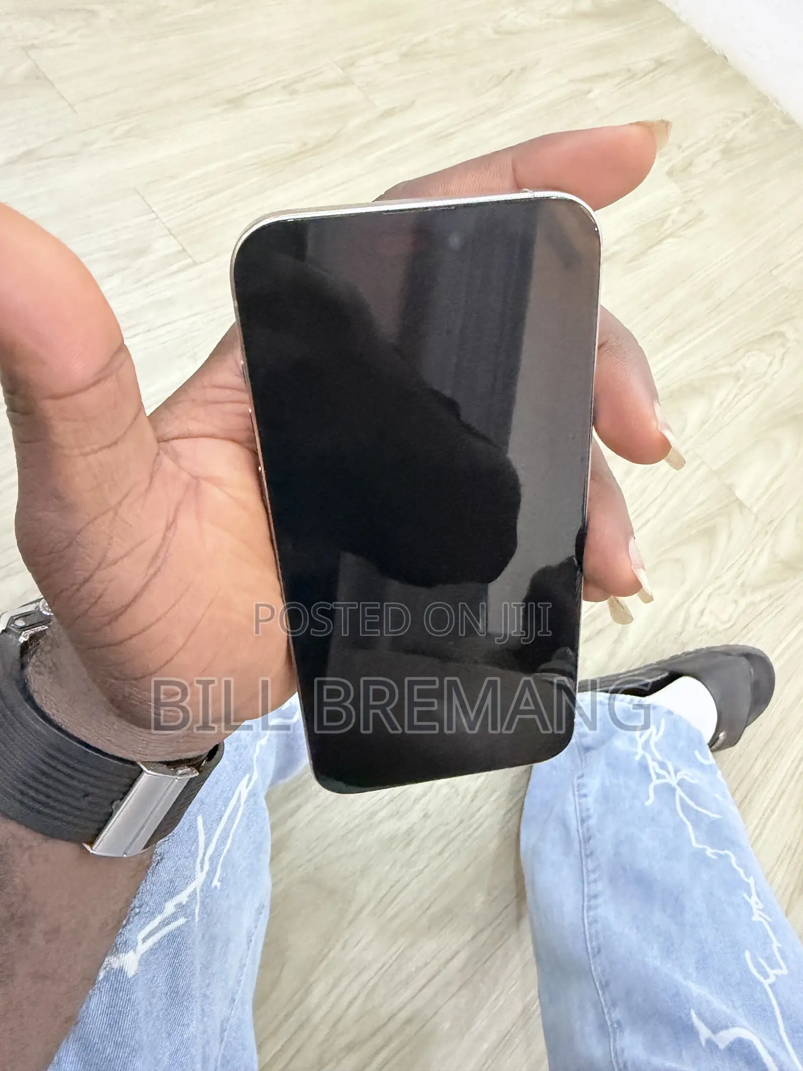 Apple iPhone 15 Pro Max 256 GB Silver