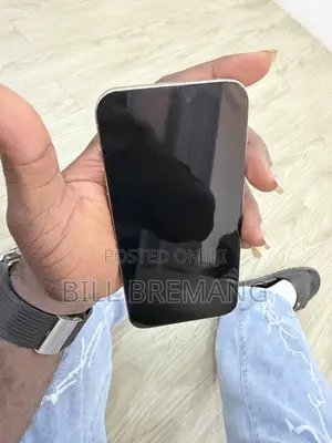 Apple iPhone 15 Pro Max 256 GB Silver