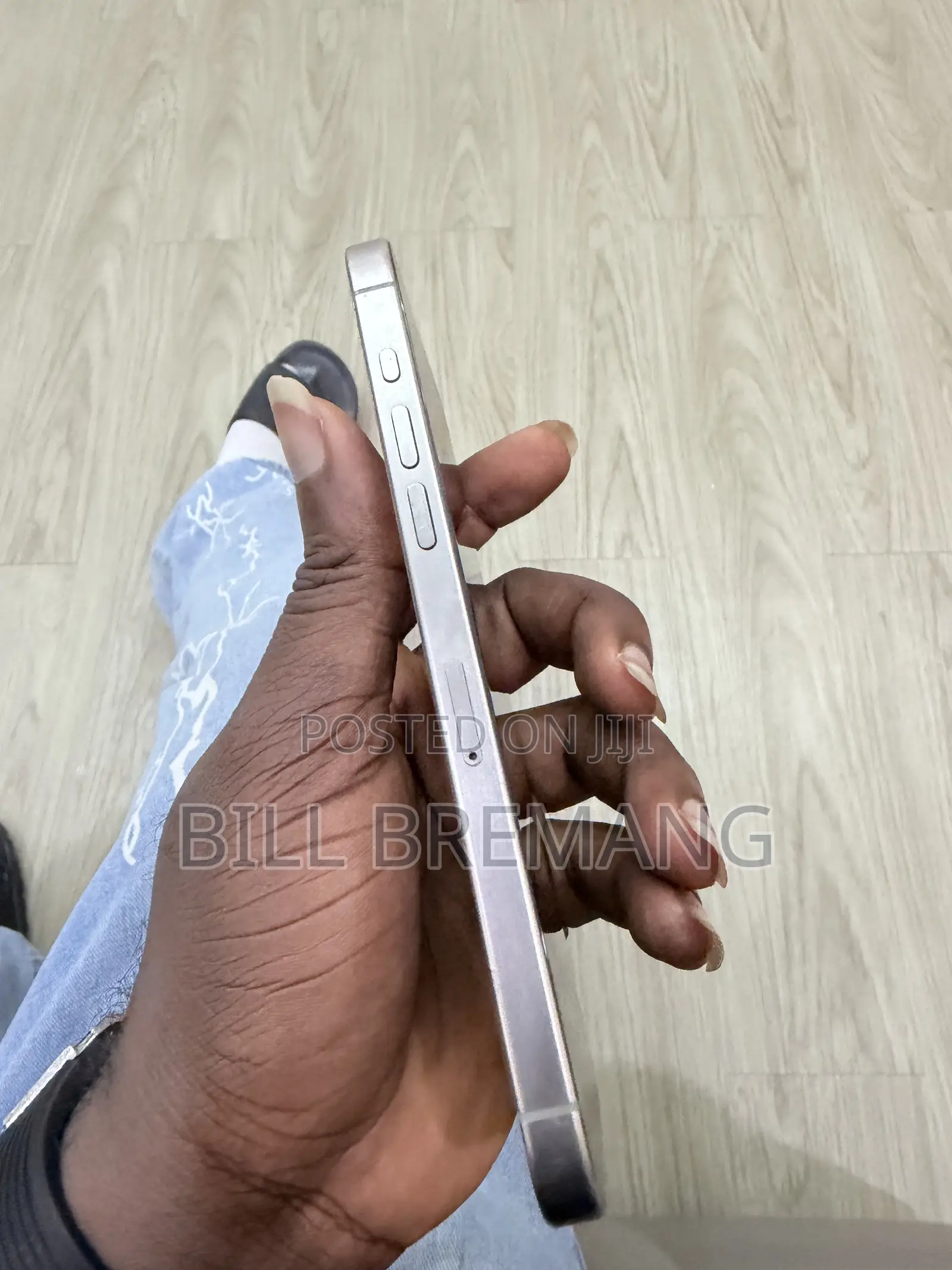 Apple iPhone 15 Pro Max 256 GB Silver