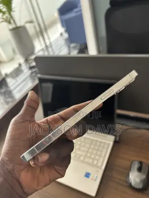 Apple iPhone 12 Pro Max 256 GB White