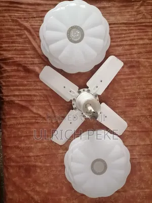 Celling Fan and One Design Celling Lights