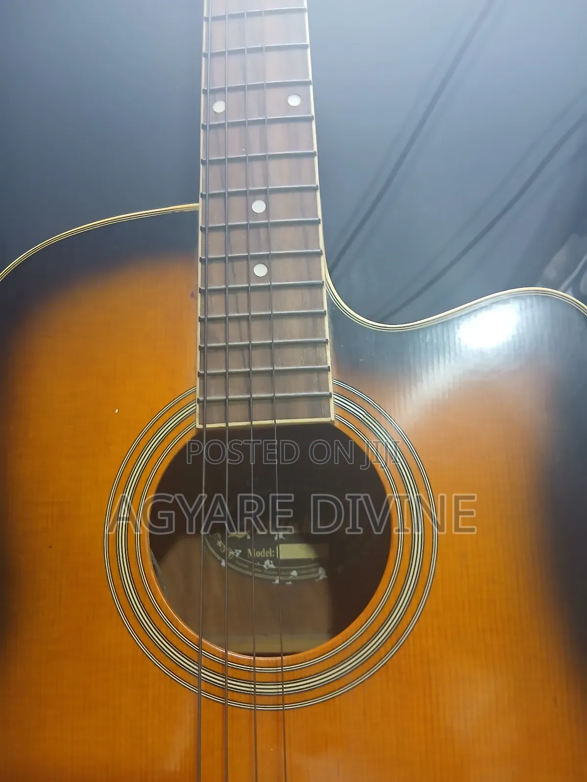 Strinberg Acoustic-Electric Guitar - Sunburst, Cutaway, Eq
