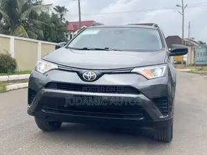 Toyota RAV4 LE 4dr SUV (2.5L 4cyl 6A) 2018 Gray
