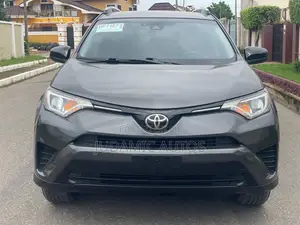 Toyota RAV4 LE 4dr SUV (2.5L 4cyl 6A) 2018 Gray