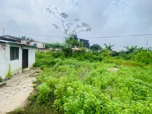 110 X 60 Size of Plot of Land for Sale at Abelemkpe