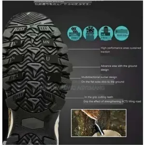 Hiking Shoes