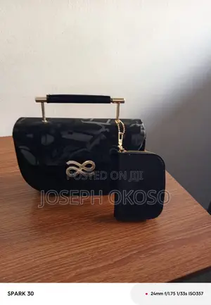 Lady's Hand Bag For Sale