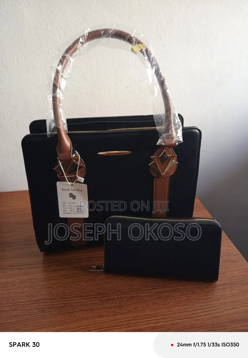 Lady's Hand Bag For Sale
