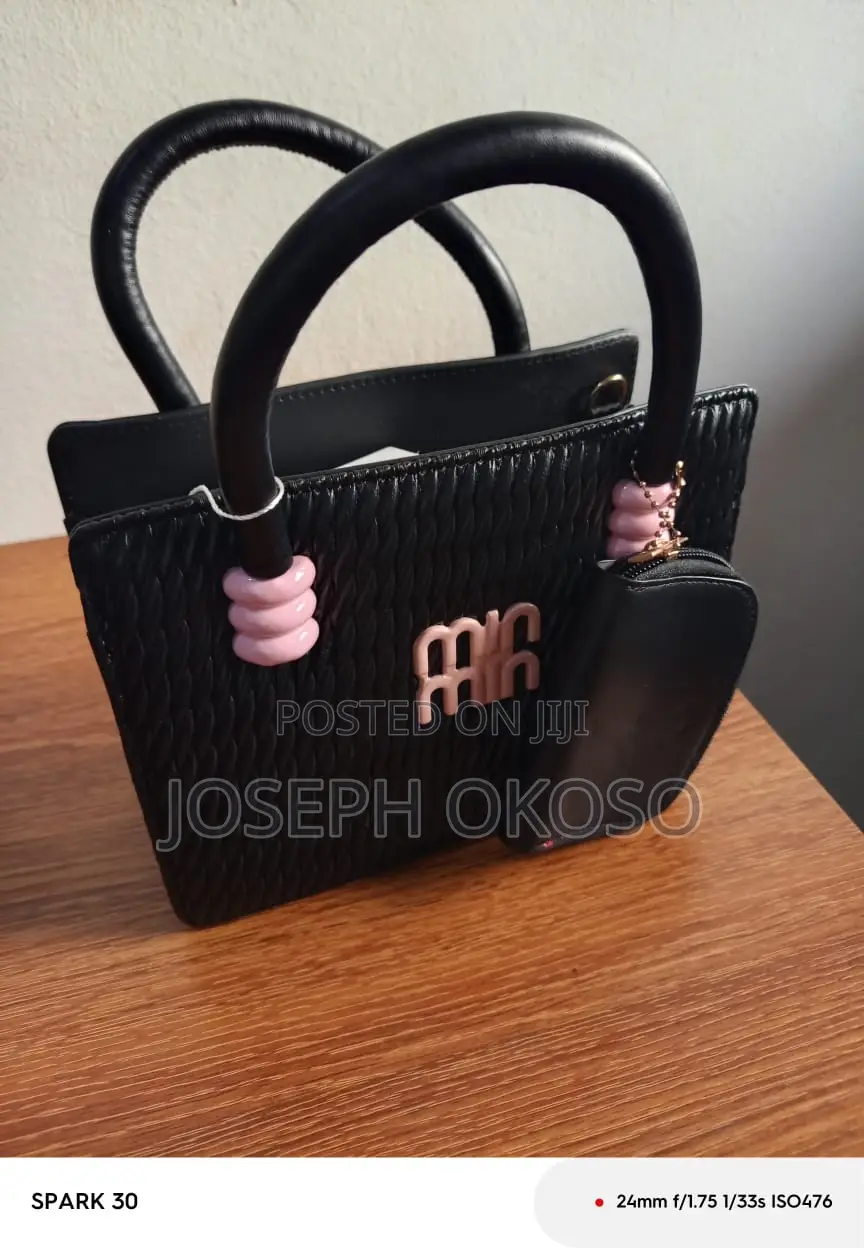 Lady's Hand Bag For Sale
