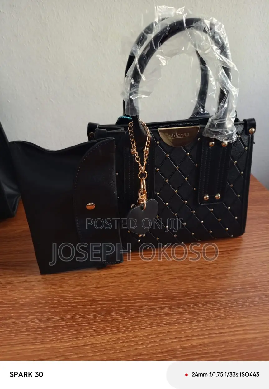 Lady's Hand Bag For Sale