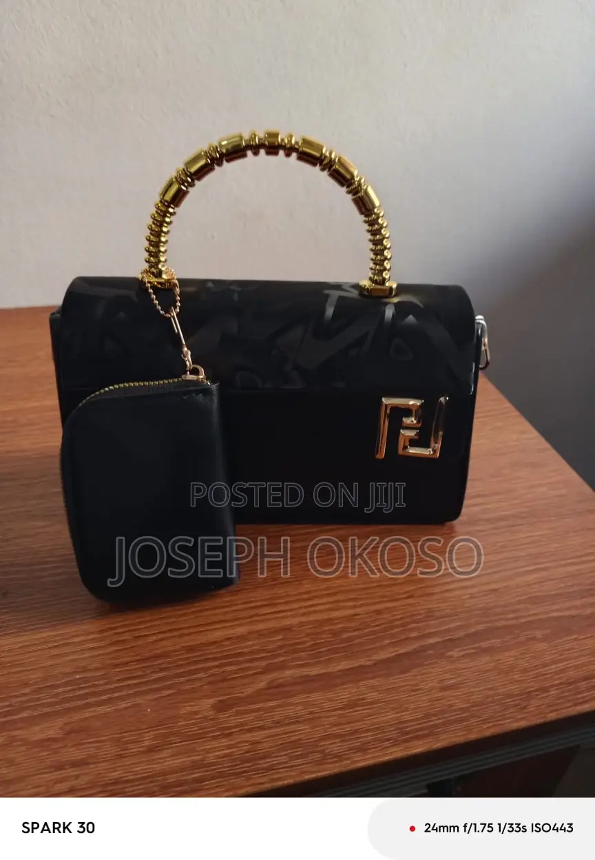 Lady's Hand Bag For Sale
