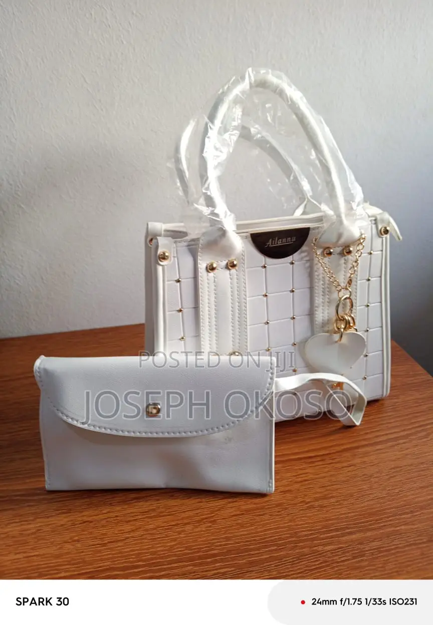 Lady's Hand Bag For Sale
