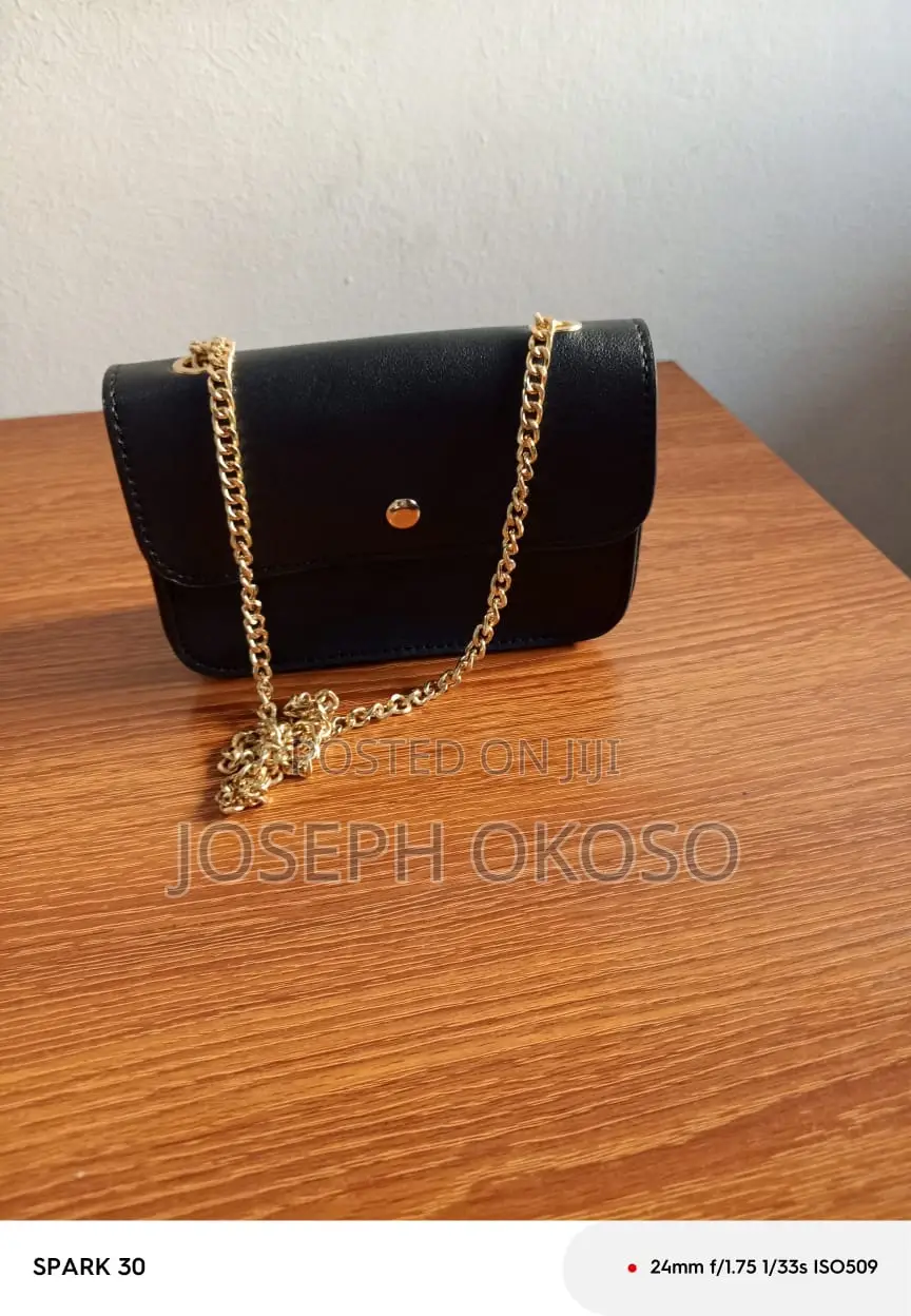 Lady's Hand Bag For Sale