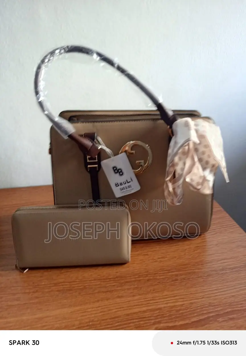 Lady's Hand Bag For Sale