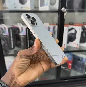 Apple iPhone 15 Pro Max 256 GB Gray