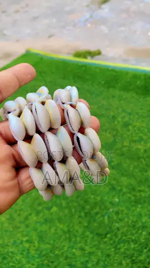Original Cowries
